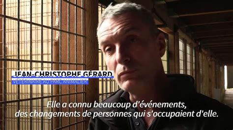 Rescapée d'une Ukraine en guerre, une jeune .